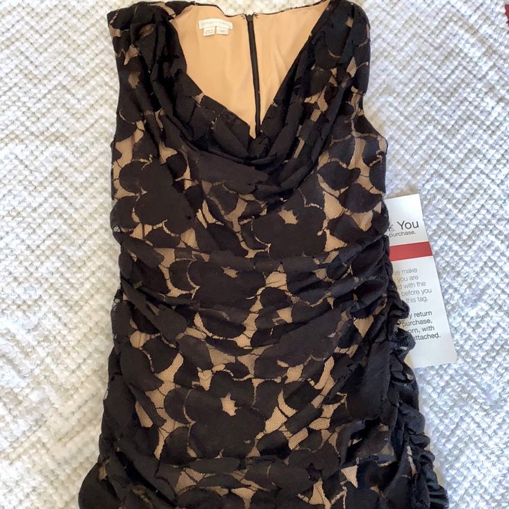 London times dress. NWT. Paid $159.99. Nude/black lace. Knee length. Size 10